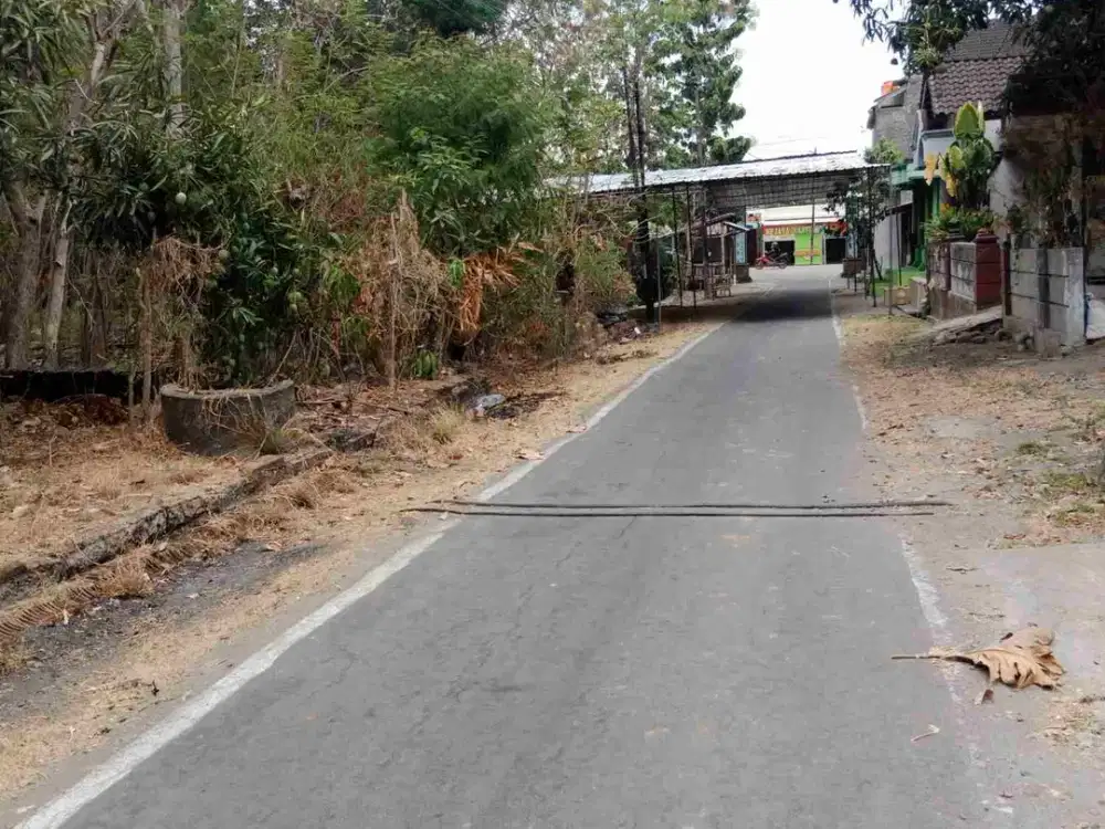 Pekarangan murah 240m² muka 9m, 40m dari jalan raya propinsi, bakalan polokarto