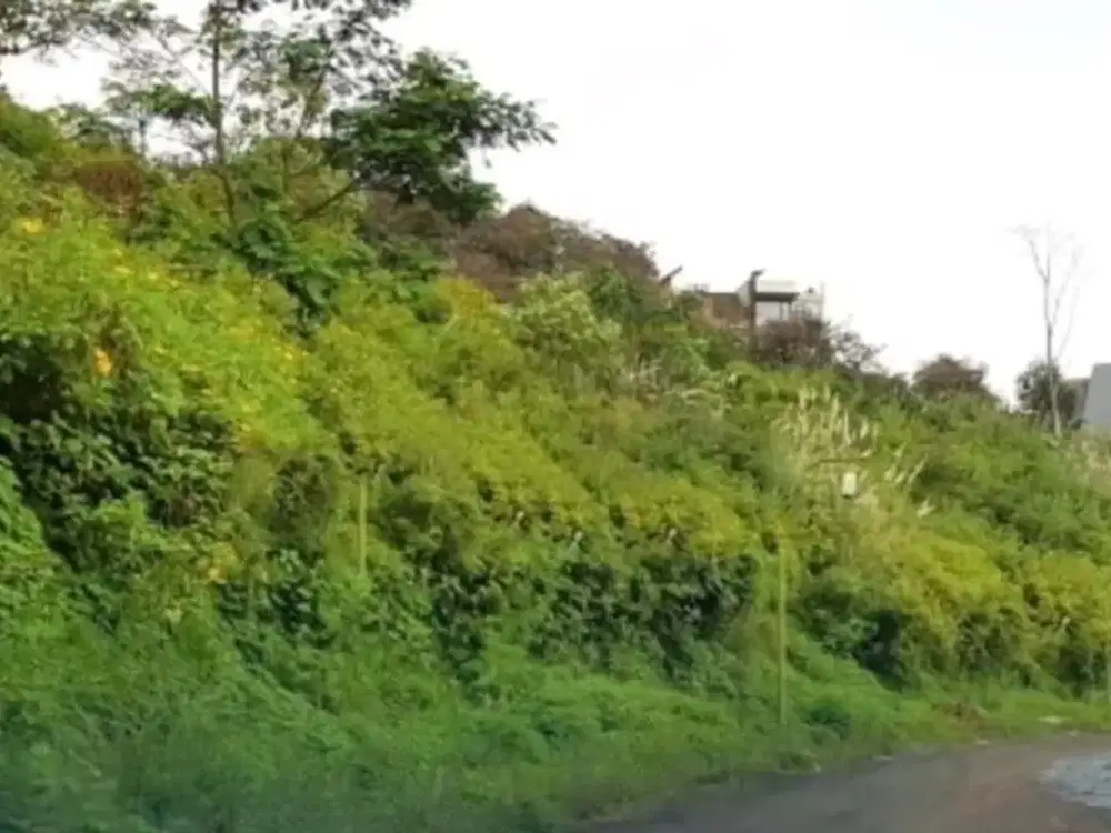 Termurah! Tanah di Dago Pakar Resor Mawar Bandung