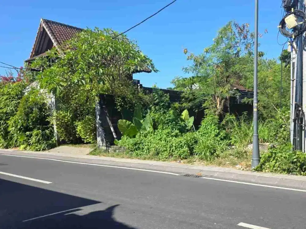 Tanah kayu tulang selatan canggu