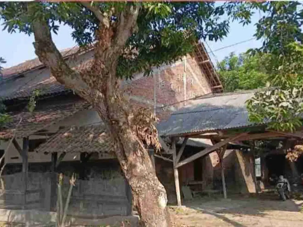 Dijual Rumah luas lokasi Kab. Jombang