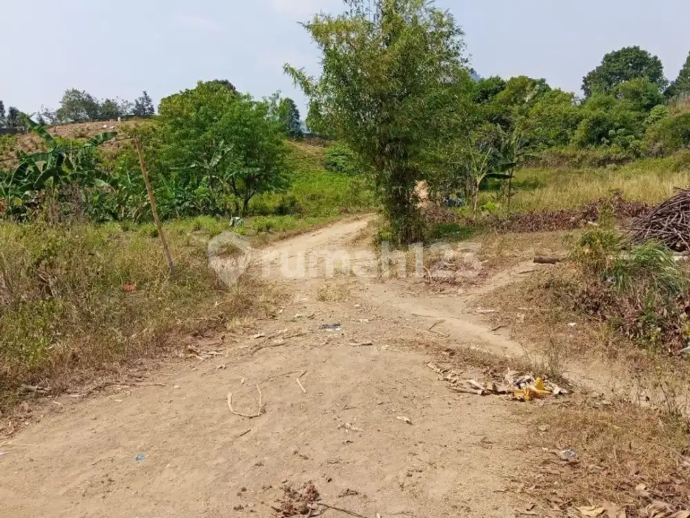 Dijual Cepat Tanah 9000M² Dekat Sentul. Kontur Berbukit-Bukit, Terdiri Dari Kebun, Sawah Bbrp Petak, dan Sungai.