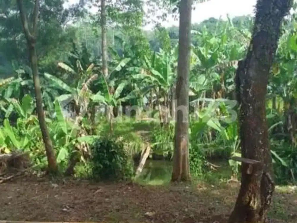 Harus Segera Terjual Kavling di Daerah Cilengsi