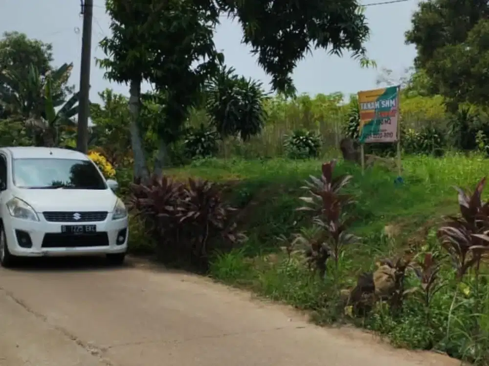 Tanah Murah Tajurhalang Siap Balik Nama 900 meter Jl. Bomang