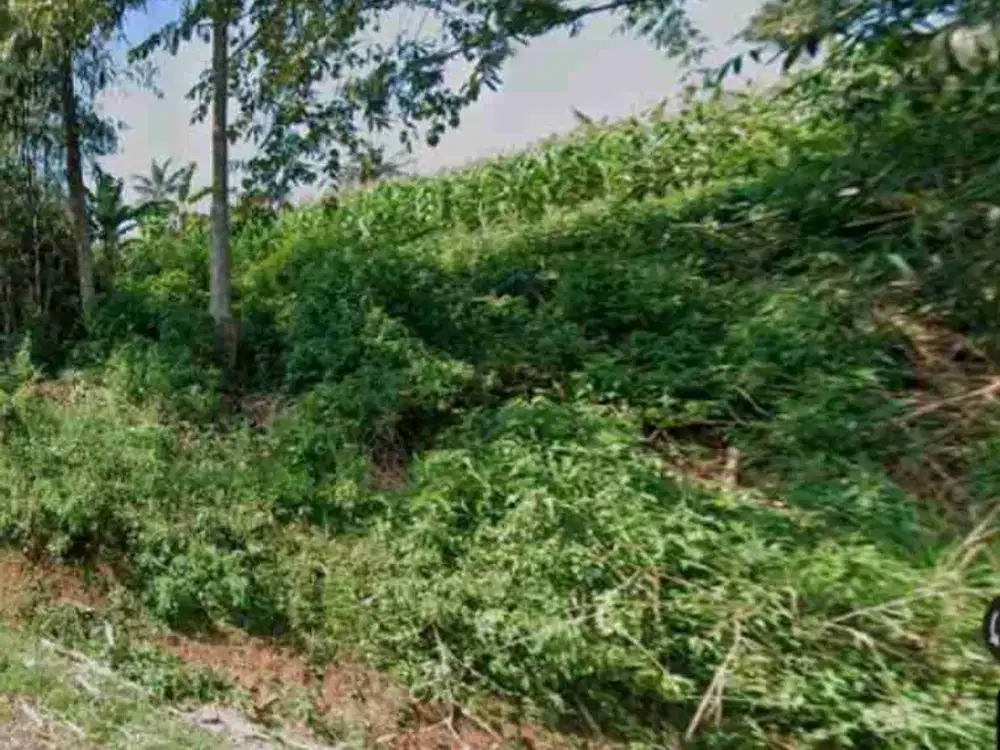 Tanah murah di bawah harga pasar 3,3 Ha di mekarasih Malangbong Garut