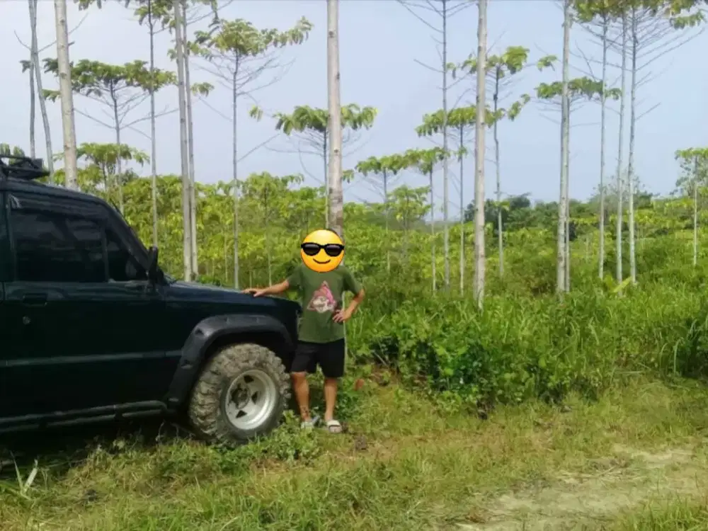 Dijual cepat dan sangat murah tanah kebun pinggir jalan masuk mobil, 6 Ha, SHM, 21 rb/m2
