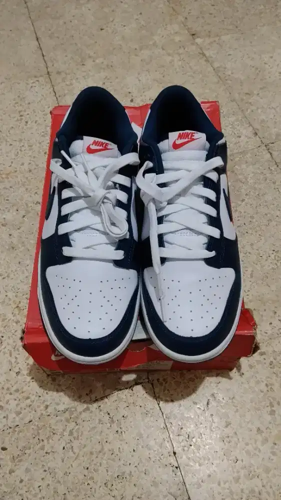 Nike Dunk Valerian Blue