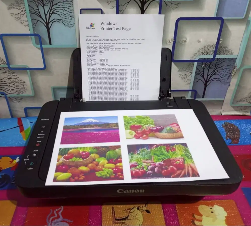 Printer Canon MG2570s all in one normal tinggal pakai