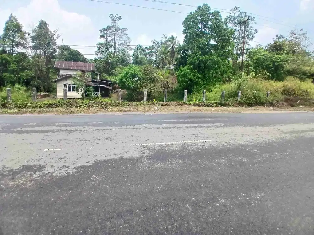 Jual Tanah 3 Hektar di Kab.Sorong Sp.4