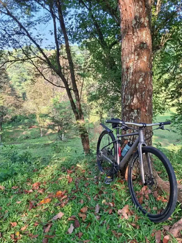Sepeda Gravel Mosso 735 GVL