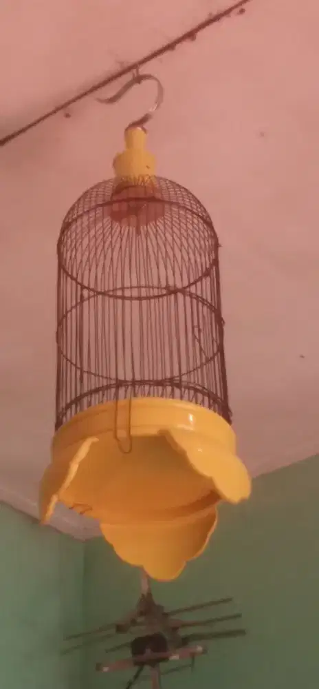 Kandang Helopet Pleci