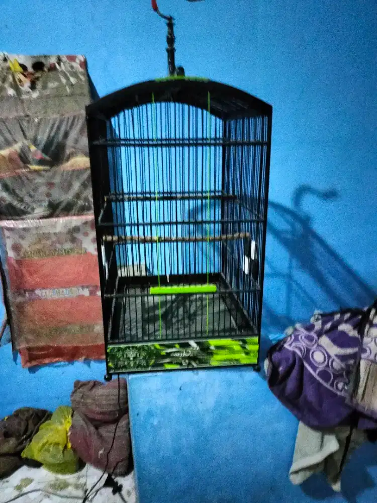 Sangkar burung kotak