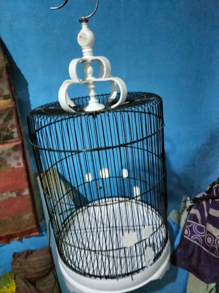 Sangkar burung bulat