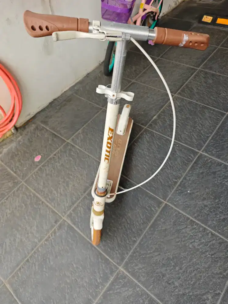 Skuter exotic anak