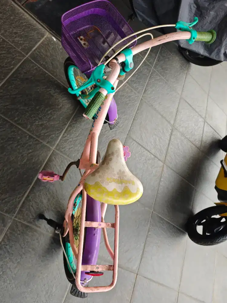 Sepeda anak roda 2