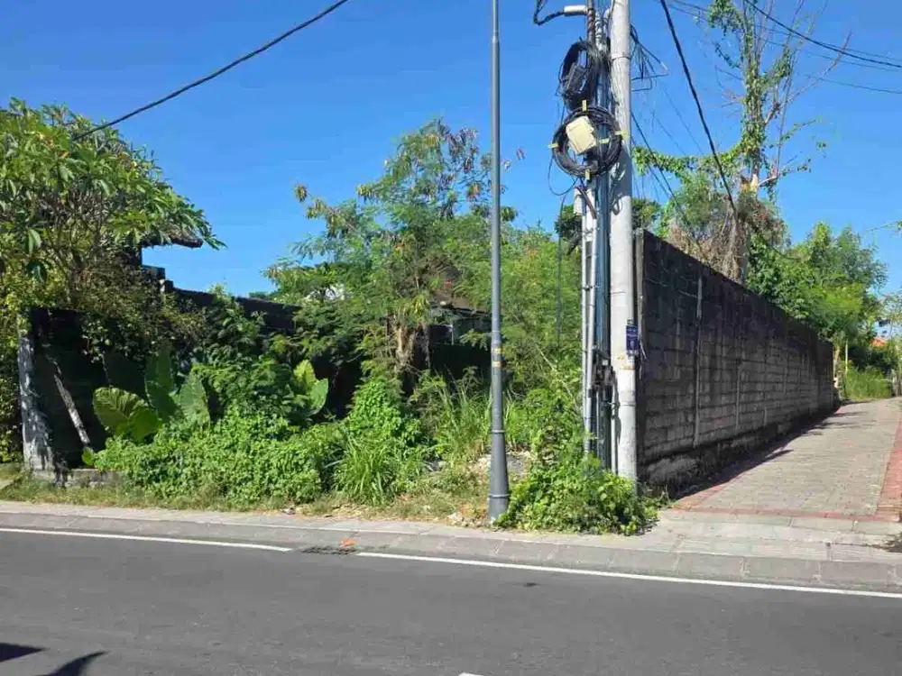 Dijual Tanah Kayu tulang Selatan Tembusan Batubolong Canggu Badung-Bali Lingkungan Villa & Resto