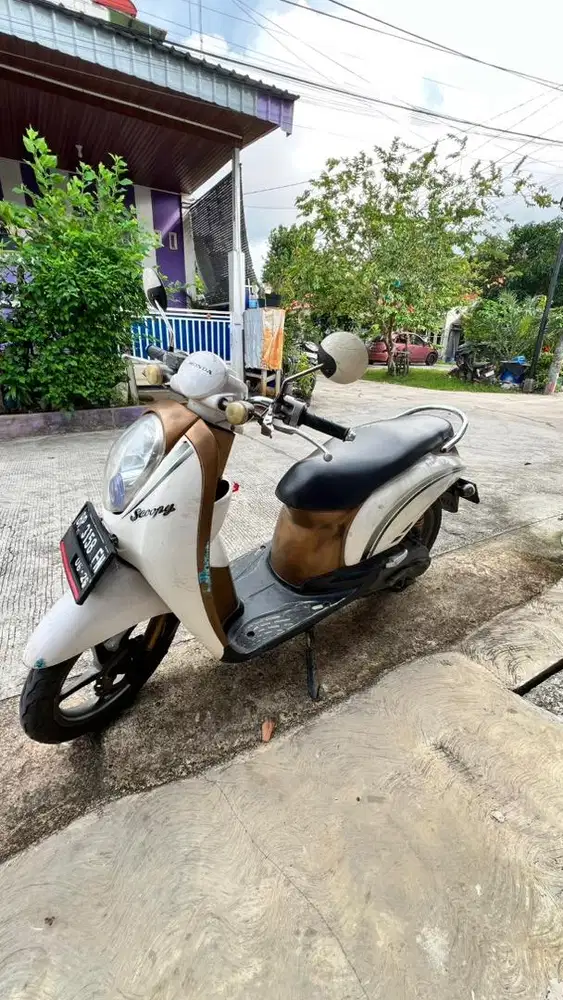 Scoopy 2011 white gold