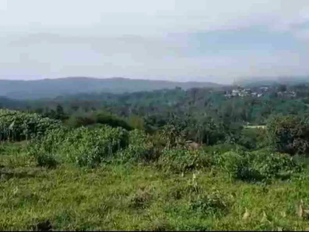 DI JUAL TANAH DARAT LUAS 22 HA COCOK UNTUK PERTANIAN DAN INVESTASI