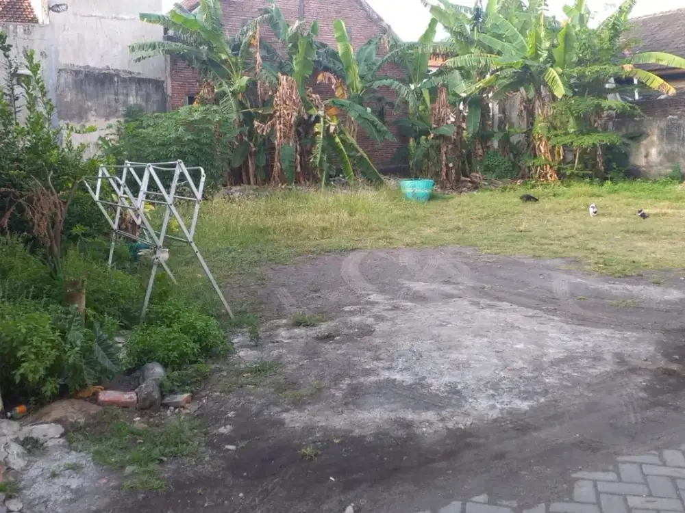 Tanah Strategis 306m Probolinggo Selatan Siap Bangun Walikota Gatot Karigaran