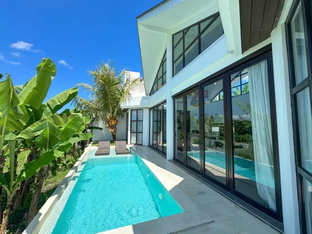 Beautifull Tropical Villa 2 Bedroom Fully Furnish With Infinity Pool Ready To Operate In Ubud