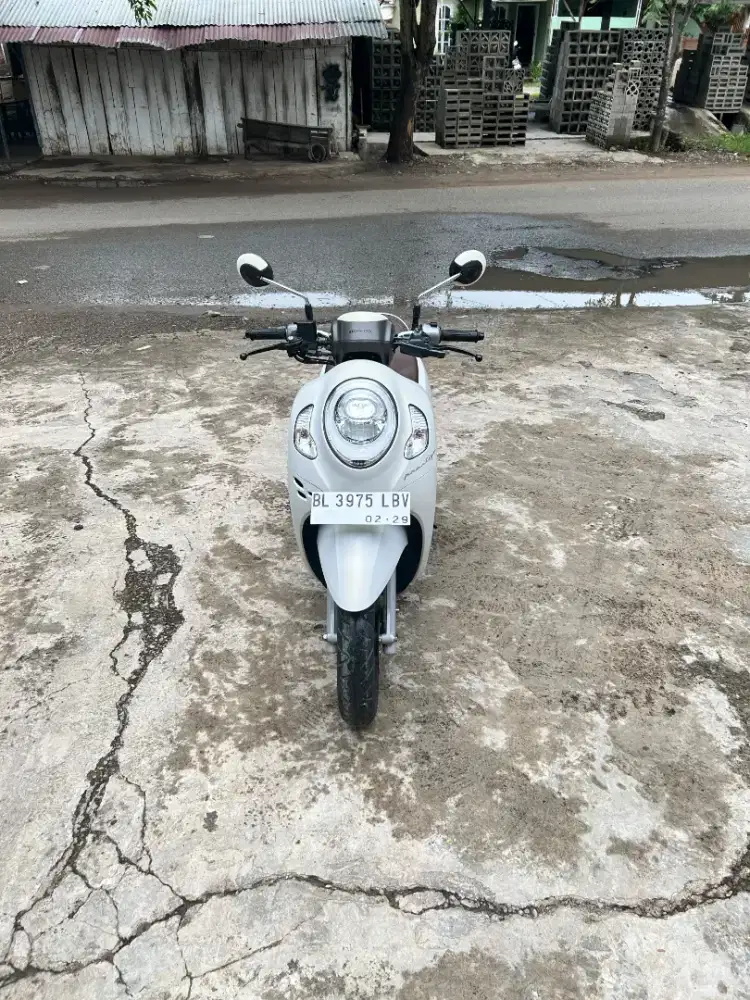 Di jual honda scoopy tahun 2024
