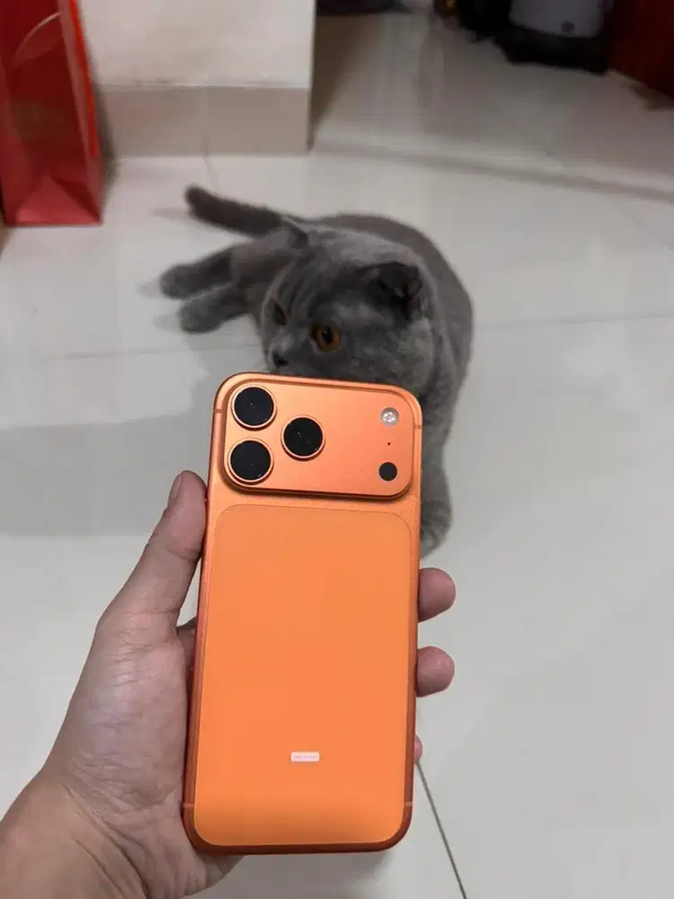 Iphone 17 promax 256 GB ex ibox