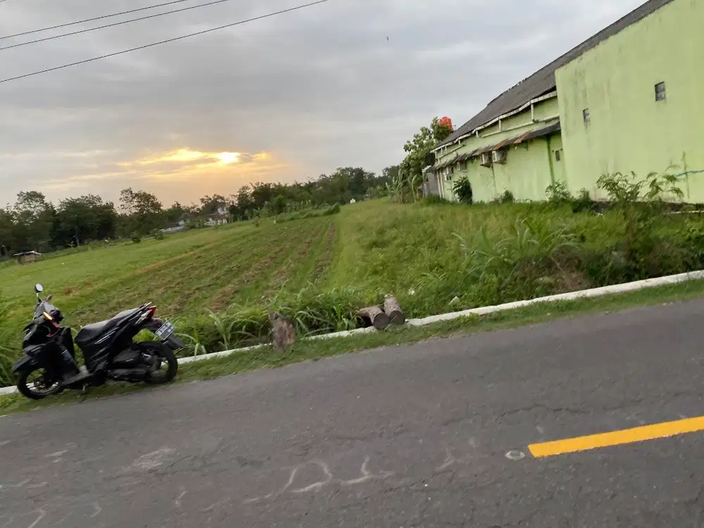 Dijual tanah sawah pinggir jalan di Kalasan