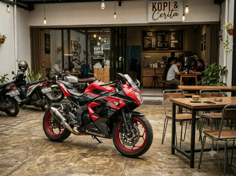 Ninja 2014 250 cc