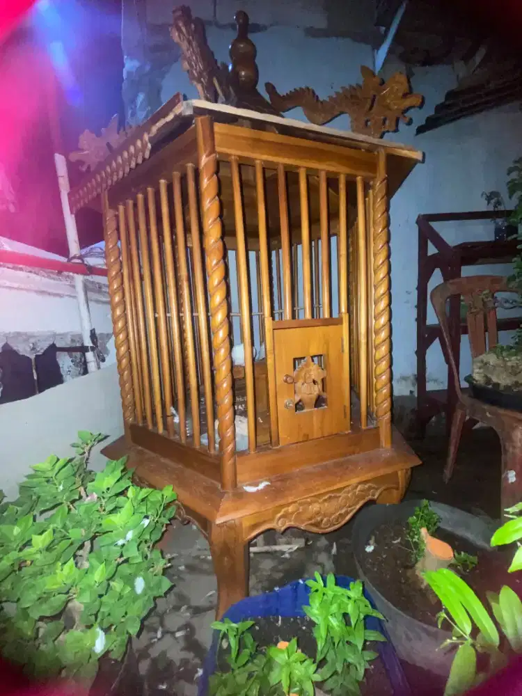 Kandang Burung/Ayam Pelung