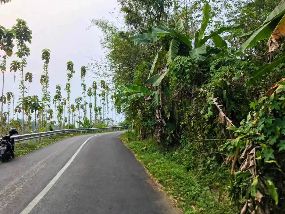 TANAH PINGGIR JALAN RAYA! DEKAT TOLL — Lt 1.640 m²
