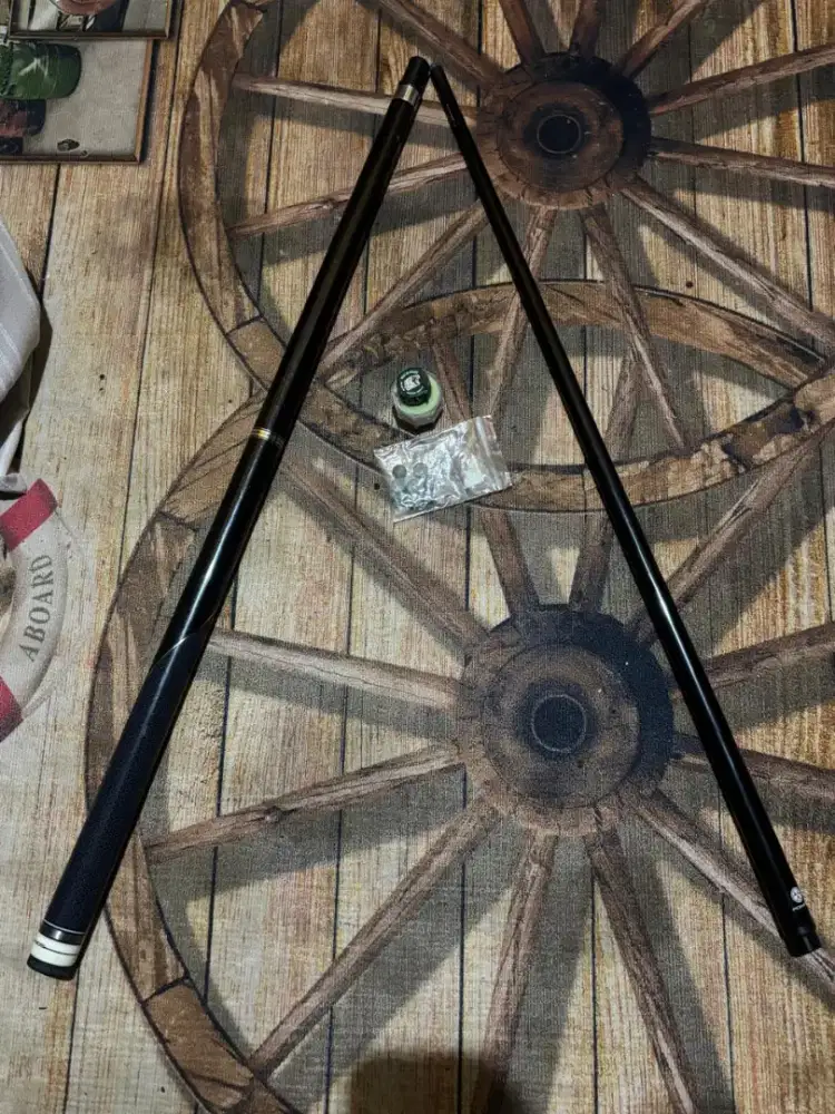 Stik biliar poinos