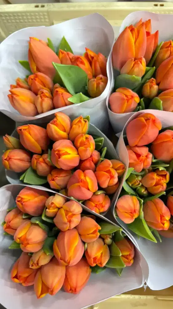 Cari karyawan florist wanita