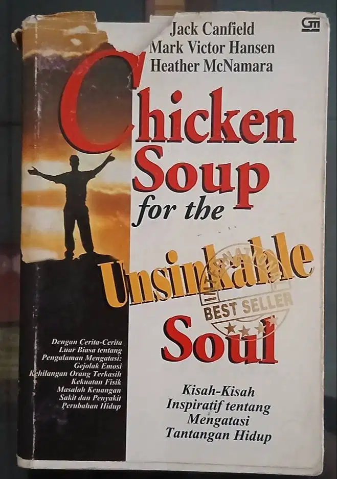 Chicken Soup for the Unsinkable Soul