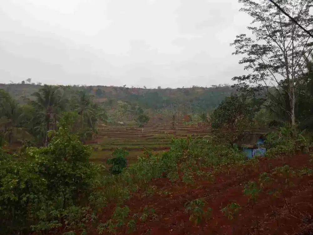 lokasi murah buat pertanian & investasi di sukabumi jawa barat