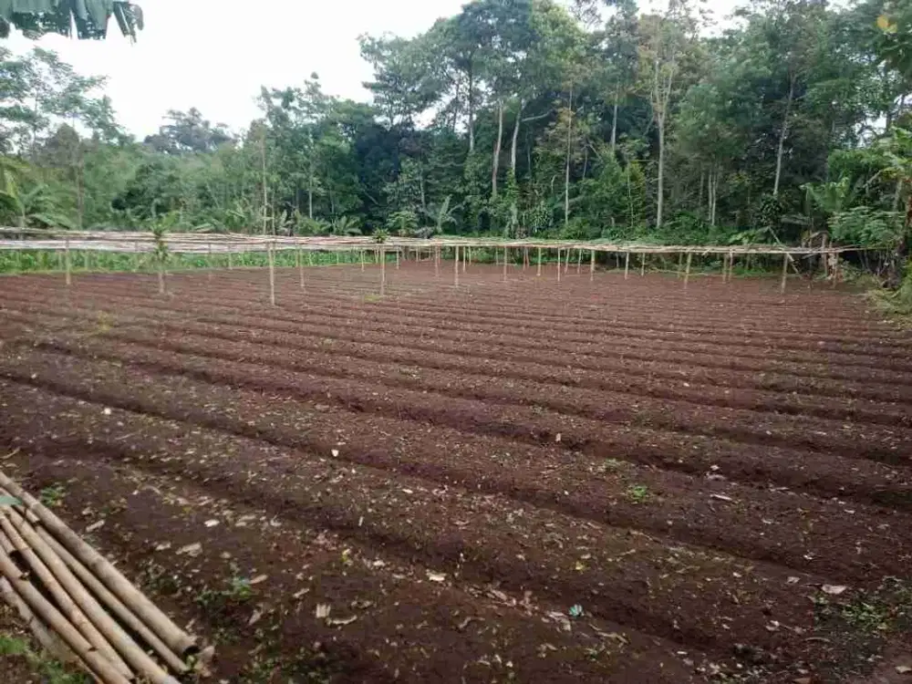 Jual cepat murah hanya 150 jt Buat Villa di nagrak sukabumi jawa barat