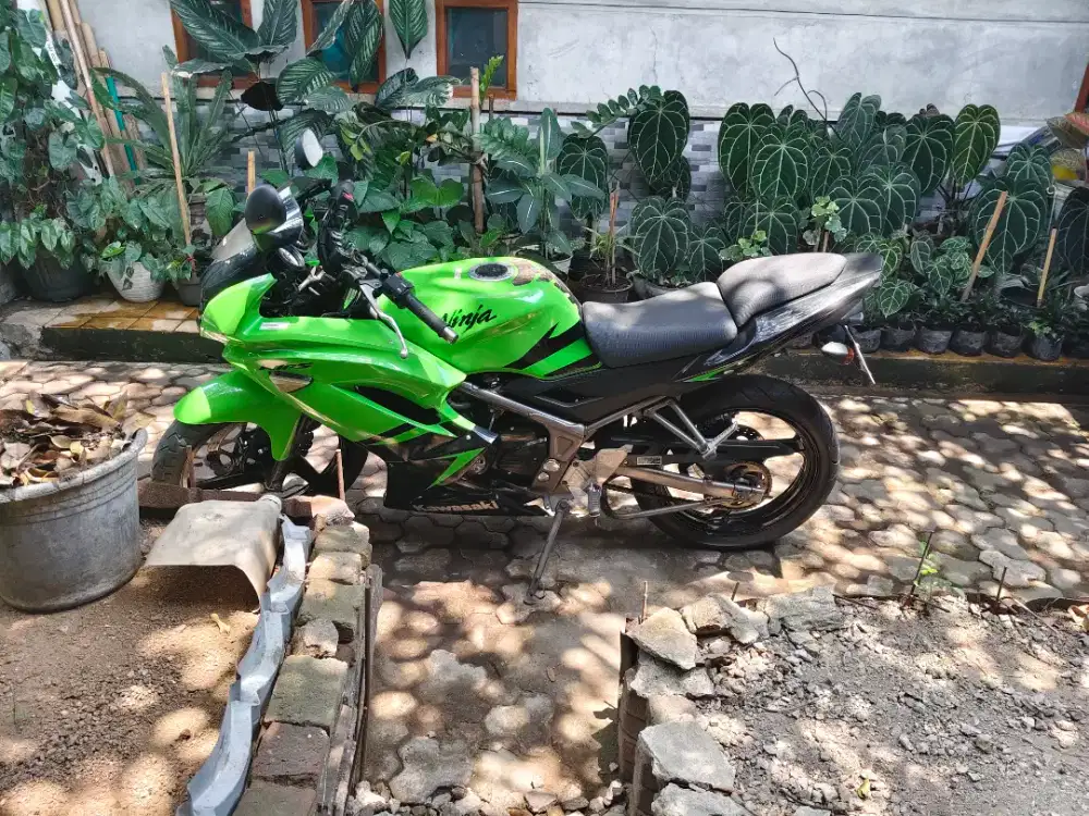Ninja rr 2012 original