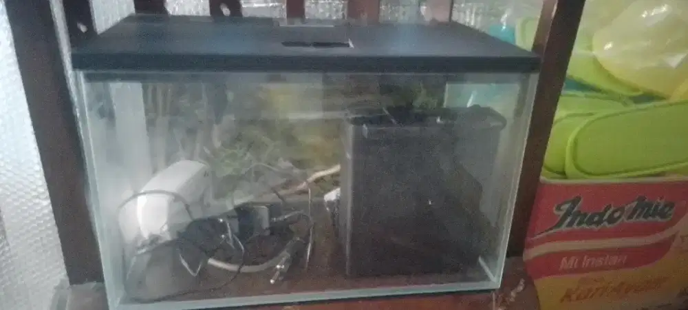 Aquarium ikan hias