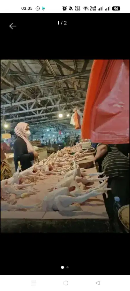 Jual ayam potong dipasar kutabumi kab Tangerang