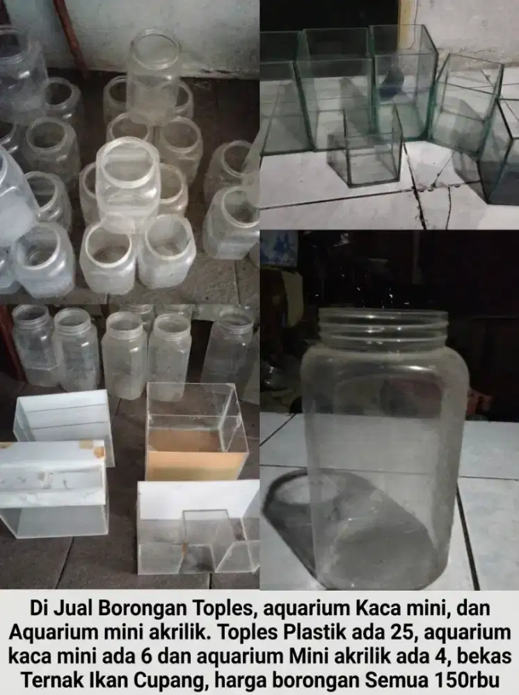 Jual Borongan Aquarium mini dan toples bekas Cupang