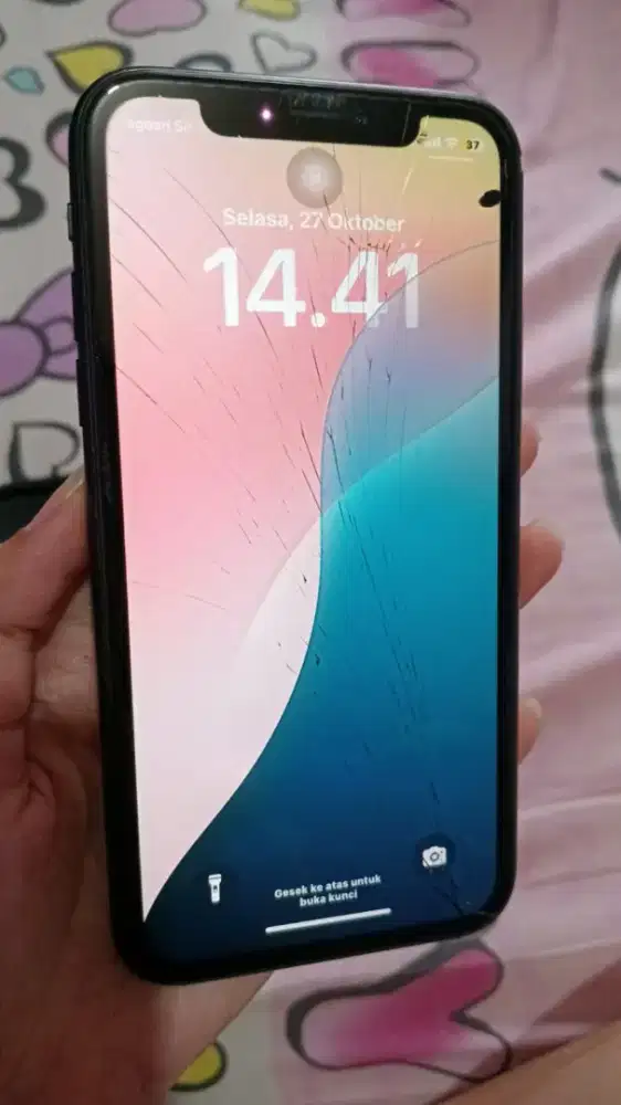 Iphone xr 64 jual apa adanya normal