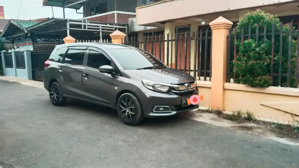 Mobilio Manual th. 2017
