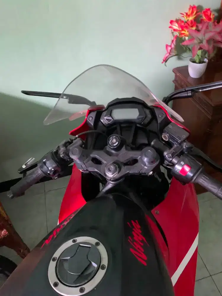 Ninja 250 sl mono th 2016