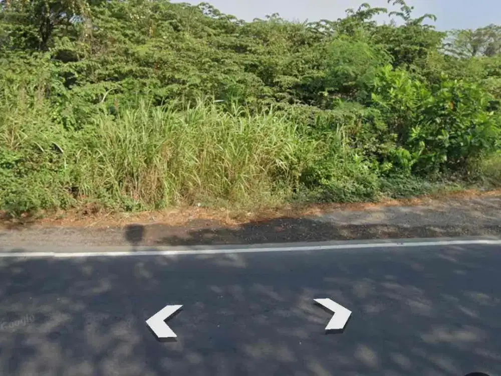 Raya Tambak Beras Banjarsari Cerme Gresik