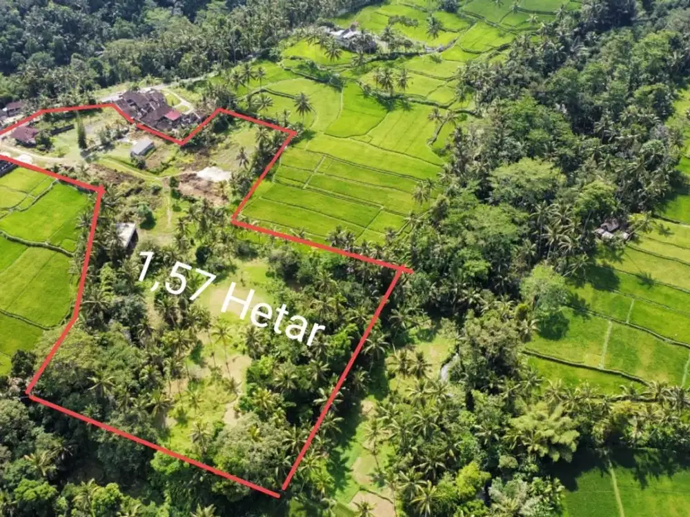 tanah langka full view junggle dan ada air terjun ubud bali