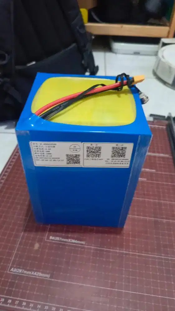 Baterai Lifepo4 15S 48V 21Ah untuk sepeda listrik