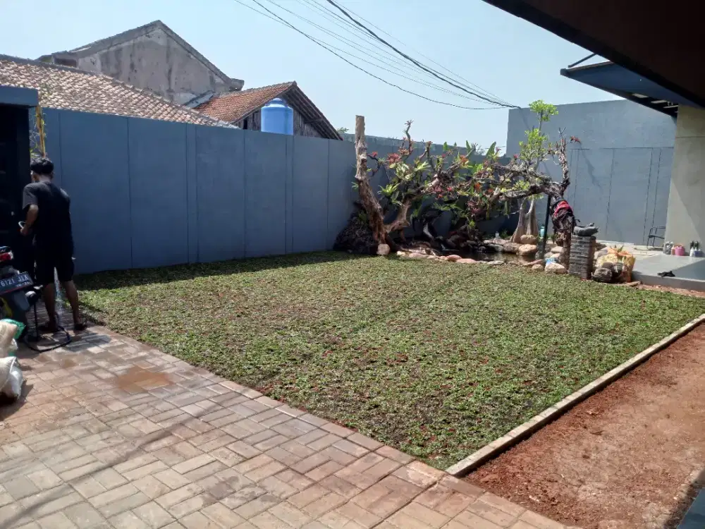 Pemasangan rumput gajah mini