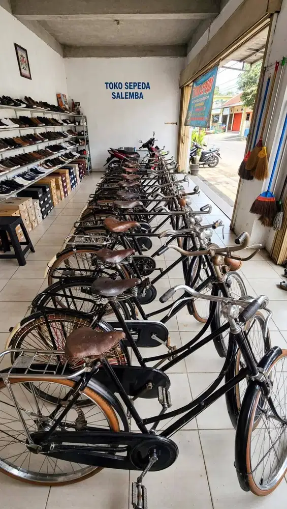 Sepeda Gazelle Seri 4 Rem Tusuk