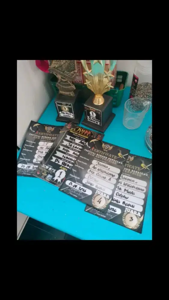 Murai Gacor Plus Kandang