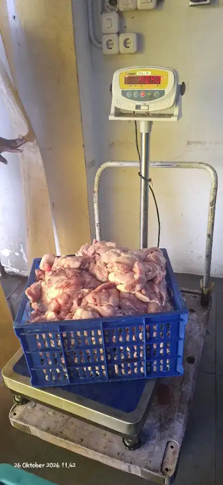 Lowongan pekerjaan kurir daging ayam potong