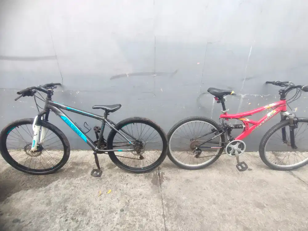 Polygon monarch & DH 120 26 inch