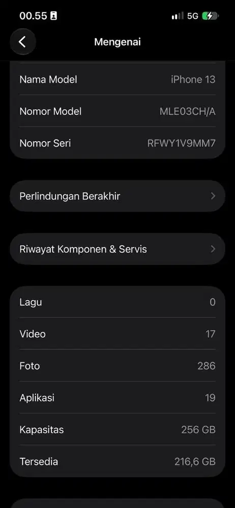 iphone 13 bassic